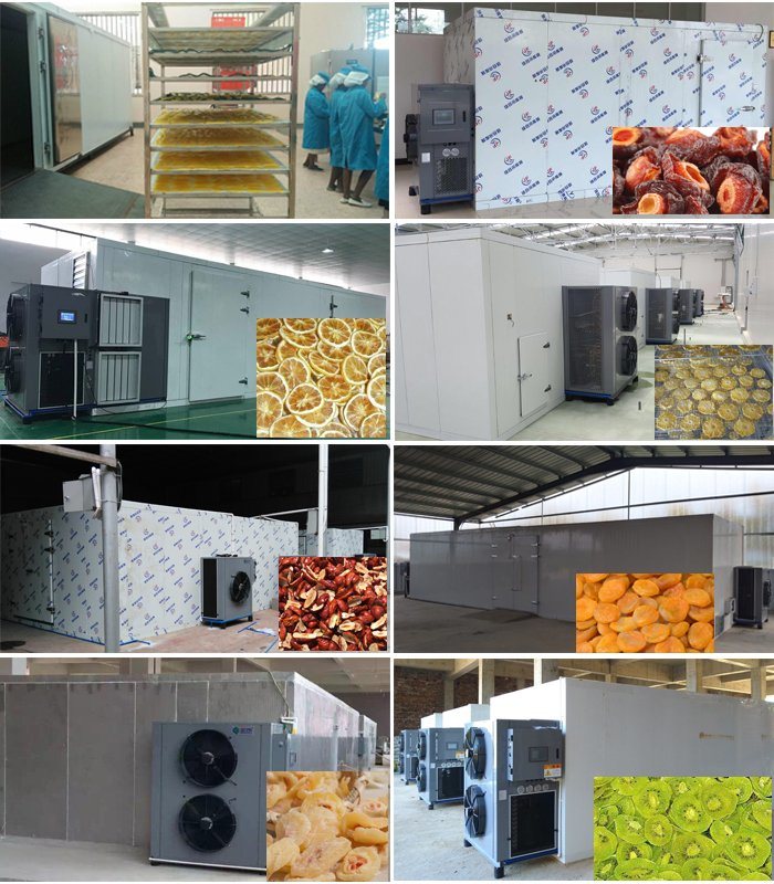 Our Patent Dryer for Various Fruits