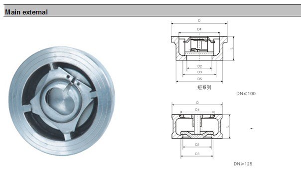 Stainless Steel SUS304 Wafer Spring Lift Disco Check Valve