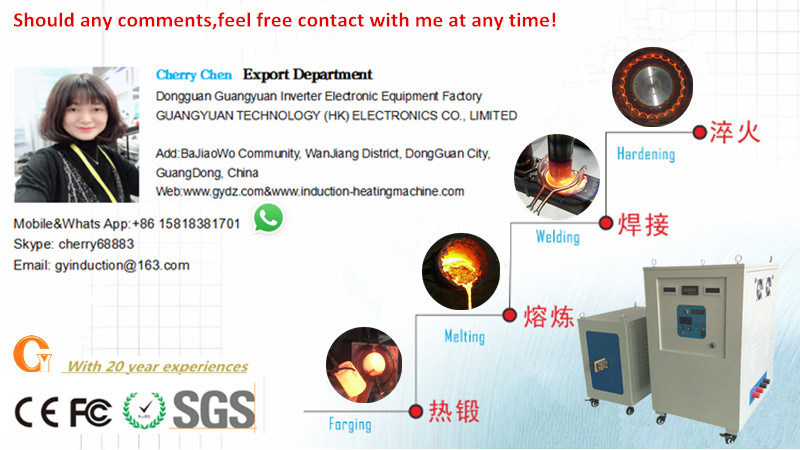 Electric Metal Induction Heating Furnace/Machine for Forging