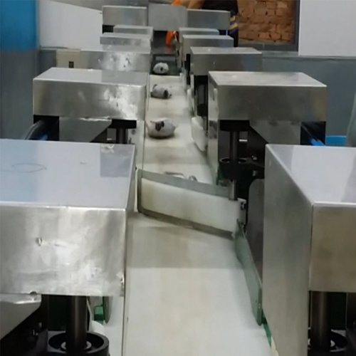 Multi-Level Weight Sorter Robotic Conveyor Weight Sorter for Southeast Asia Poultry