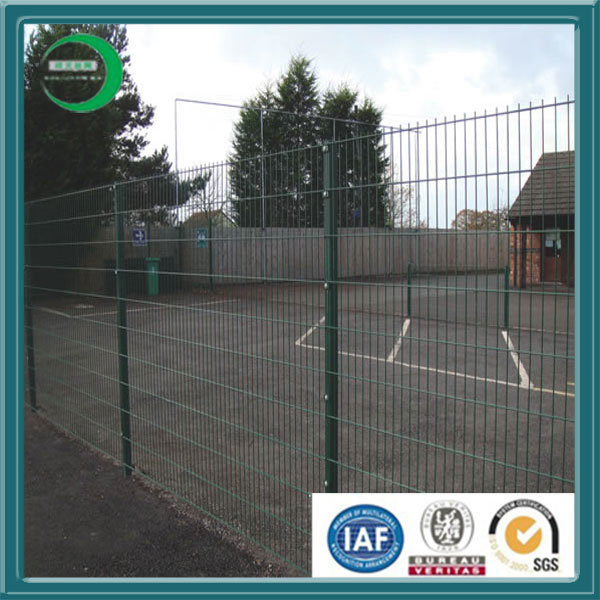 PVC&Galvanized Chain Link Fence (XY-12D)