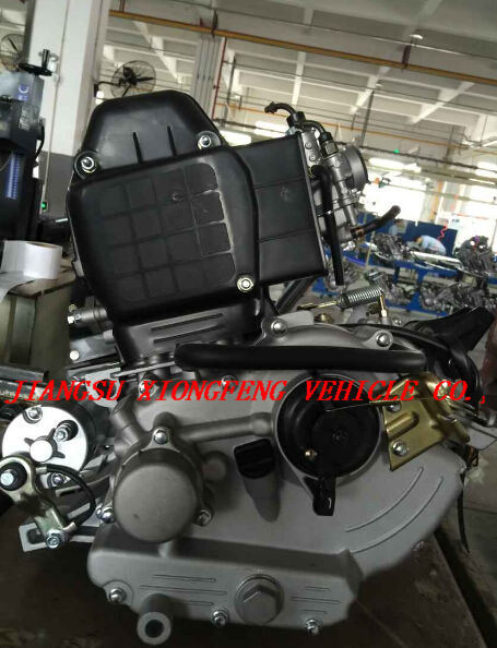 China Factory Enclosed Motor Trike Bajaj Sitting Type Trike for Passenger