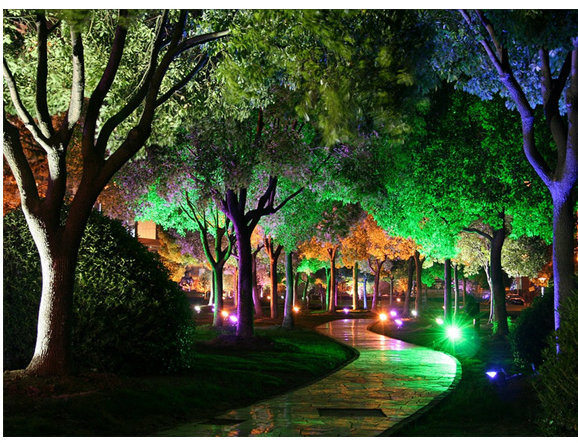 RGB Full Color 10W/20W/30W/40W/50W/100W LED Flood Light with Remote Control LED Flood Lamps