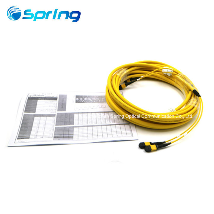 MTP MPO Singlemode Optical Jumper Fiber Optic Patch Cables