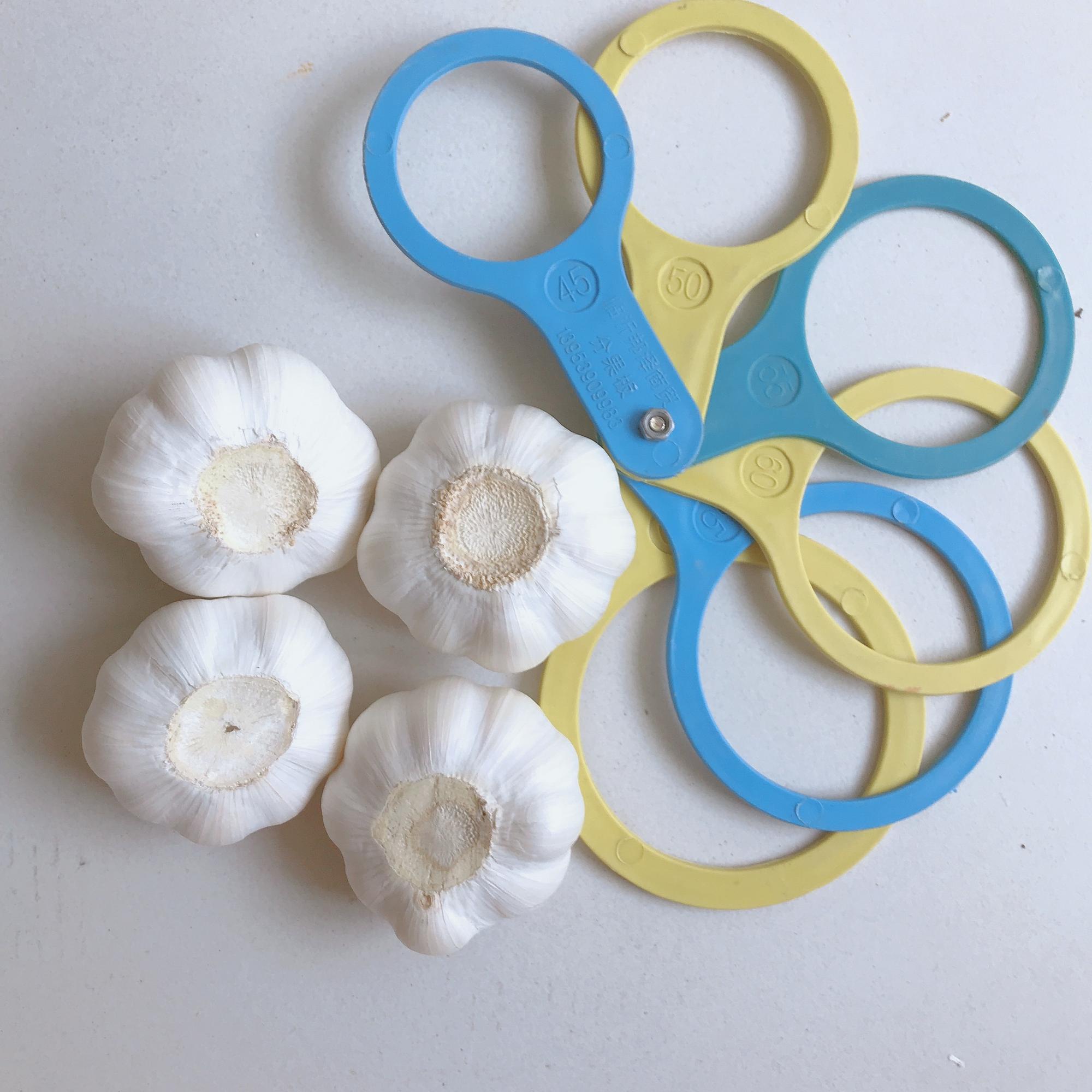 Chinese fresh elephant pure white garlic Chinese fresh elephant pure white garlic