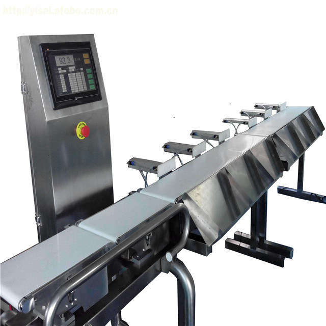 Belt Scale Type Checkweigher