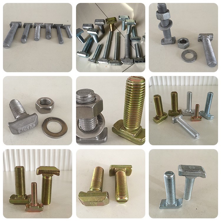 Zp Carbon Steel T Bolt/T-Bolt for Channel Fixing with Hex Nut