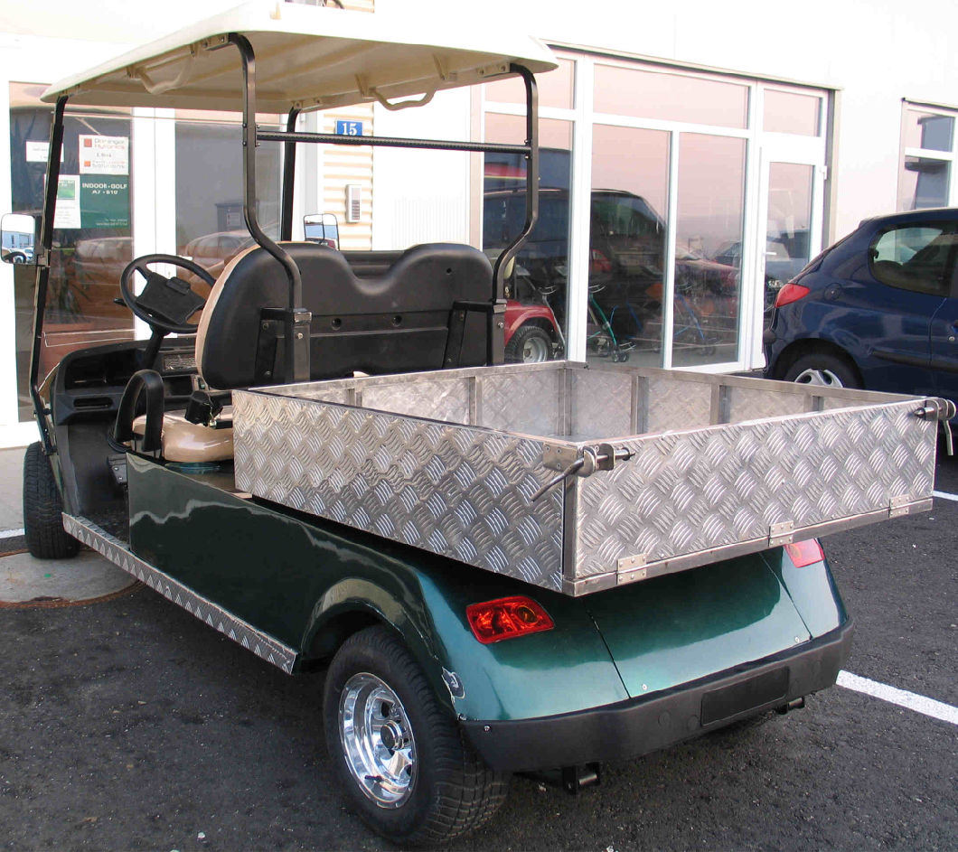 Electric Utility Vehicle with Cargo Box, CE Approved,