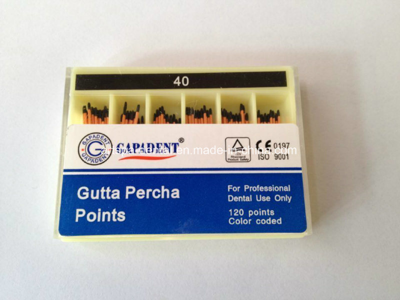Dental Gapadent Gutta Percha Points with Different Size