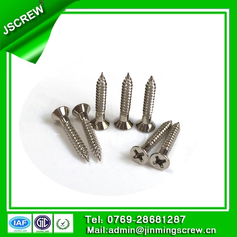 6mm Stainless Steel Countersunk Head Self Tapping Screw for Building