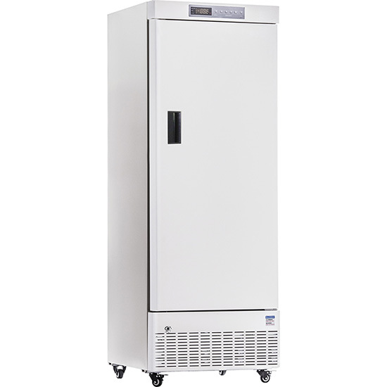 -25 Degree Upright Style Deep Freezer Refrigerator (270L)