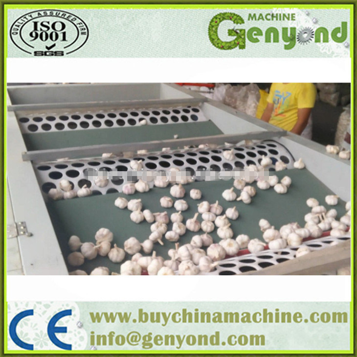 Special Design Automatic Garlic Sorting Machine