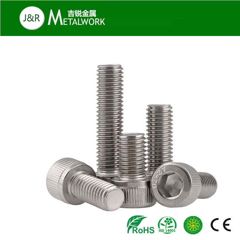 A2 A4 Stainless Steel Hex Socket Head Cap Screw (SS304 SS316 316L)