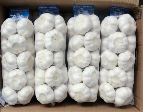 2017 White Garlic From China for Exporting