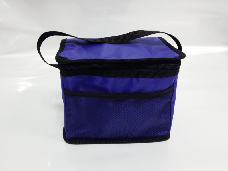 Light-Weigh Lunch Bag Cooler Box