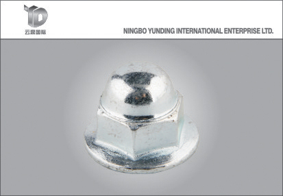 China Good Fastener Manufacturer Special Washer Nut with Hexagonal Flange Cap Nut, Good Quality