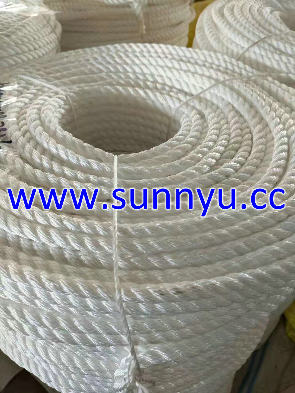 PP Multifilament Rope, Nylon Multifilament Rope, PP Rope, Nylon Rope, PP Twisted Rope