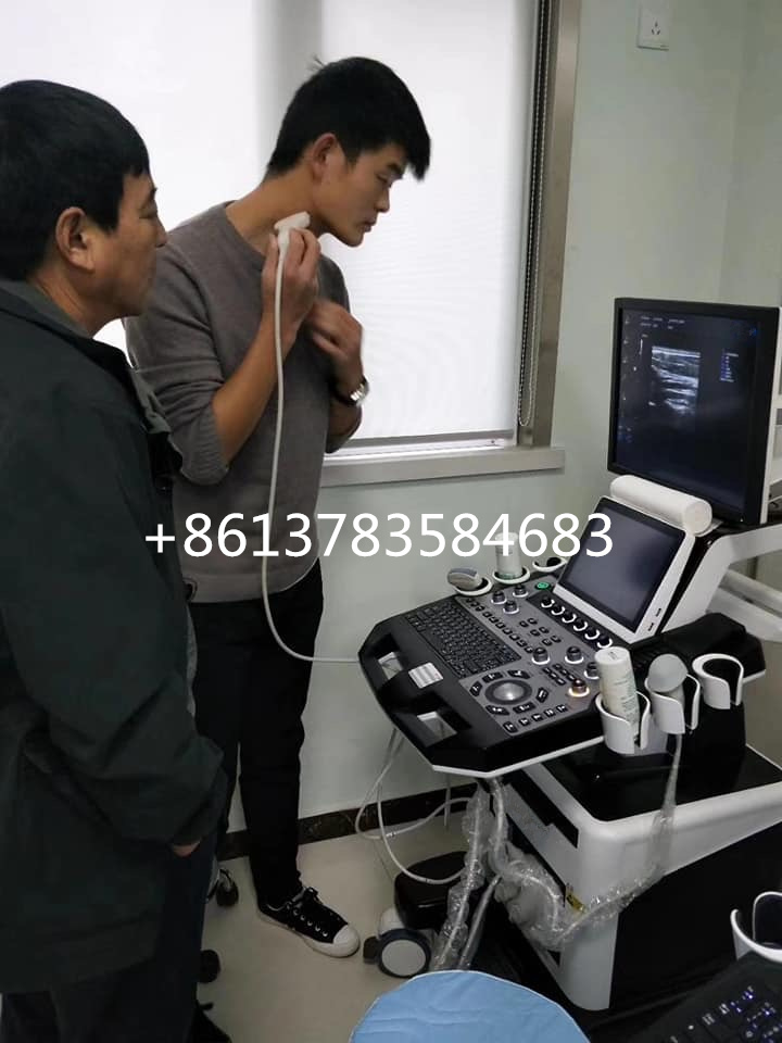 Ce Approved Trolley 4D Color Doppler Ultrasound Scanner for Gynecology