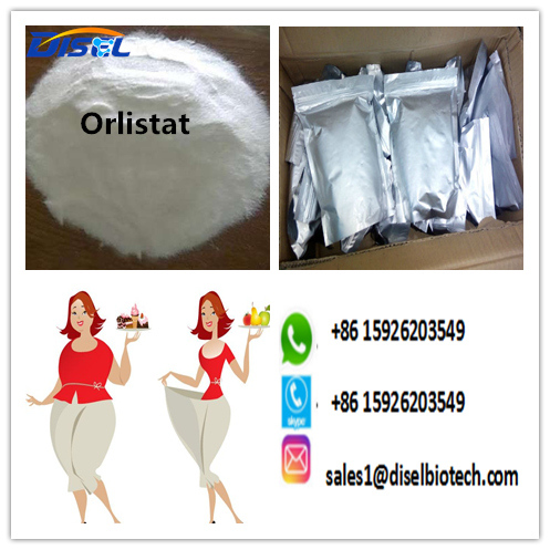 Best Price High Purity of Raw Orlistat Powder for Weight Loss