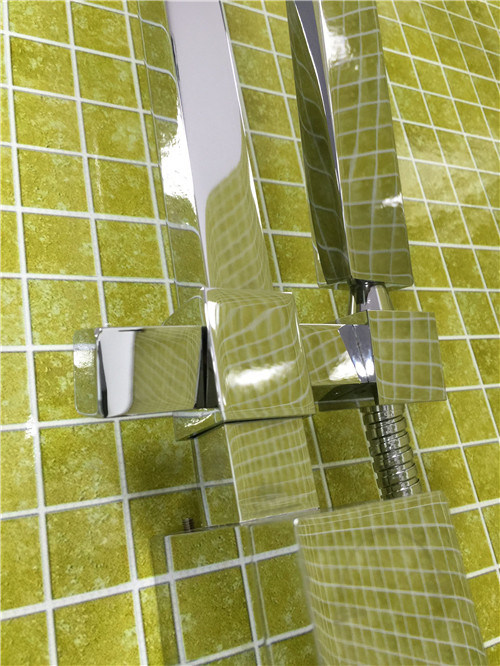 Australian Standard Bathroom Brass Hand Shower (Arb010)