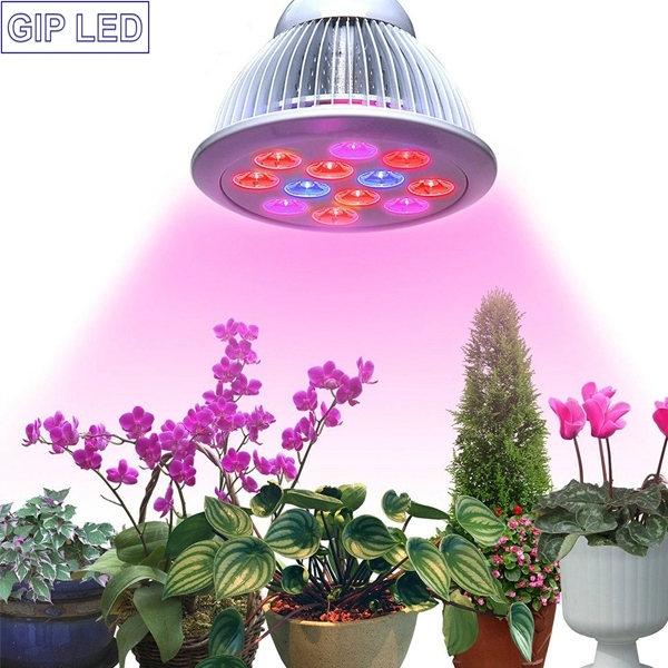 Main Product 24W PAR38 E27 LED Grow Light