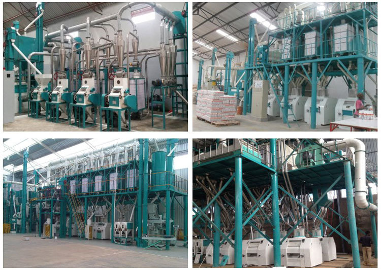 60t Brazil Running Wheat Flour Machine Flour Mill Price