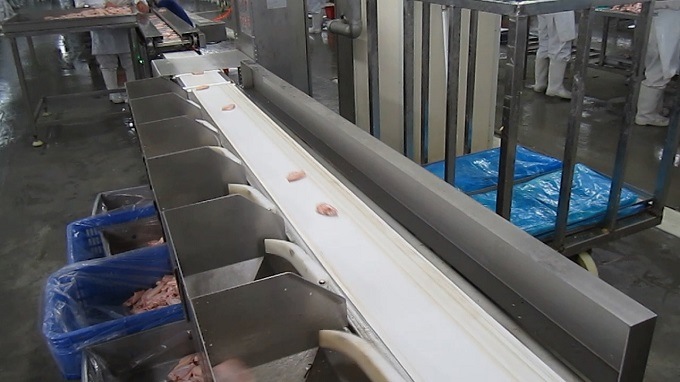 Meat/Poultry/Seafood Weight Sorting Machine