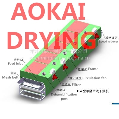 Continuous Plastic Products Conveying Dryer