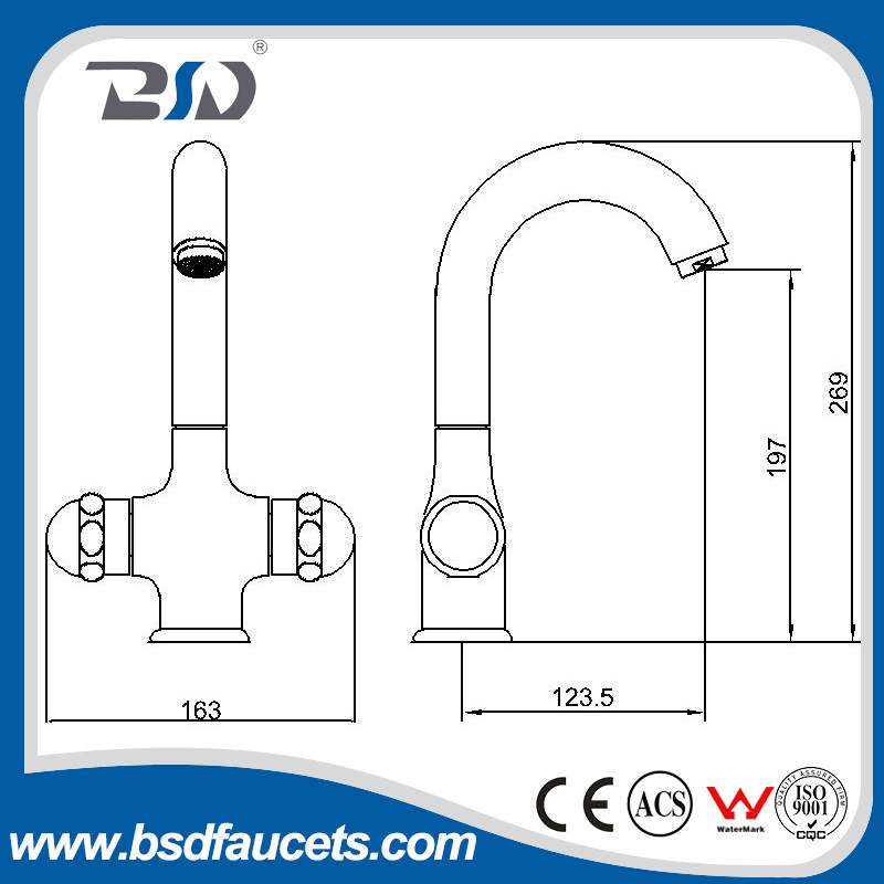 Modern Chrome Brass Kitchen Faucet with Swivel Spout Double Handle