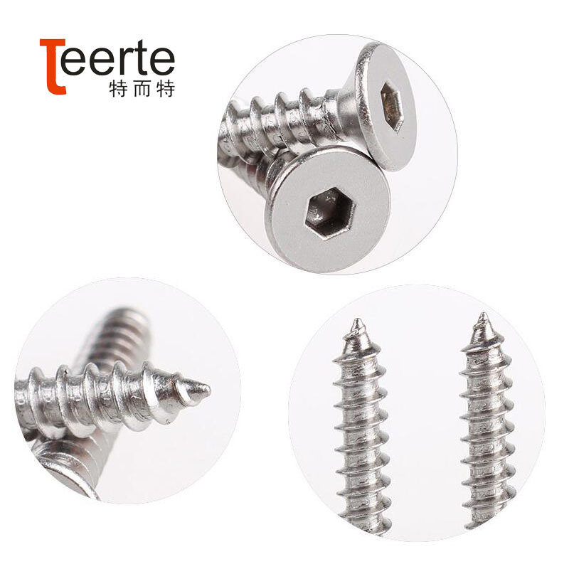 Stainless Steel Hex Socket Flat Head Self Tapping Screw