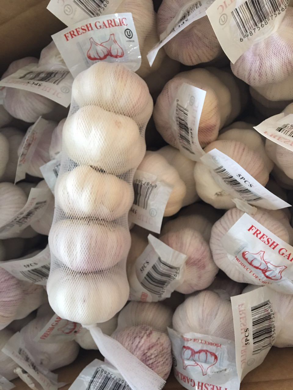 Fresh Normai Garlic with Competitive Price