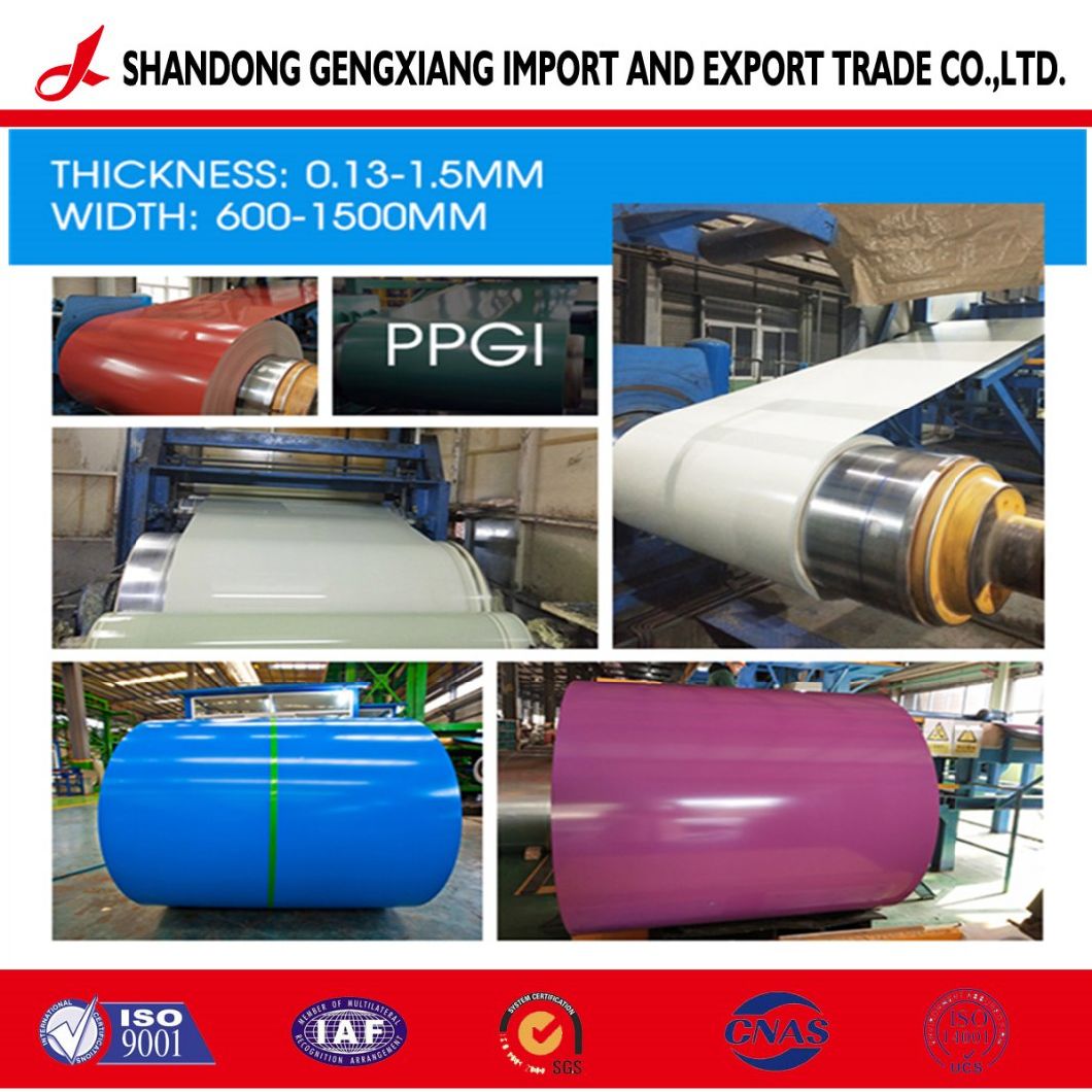 PPGI/HDG/Gi/SPCC Dx51 Zinc Cold Rolled/Hot Dipped Galvanized Steel