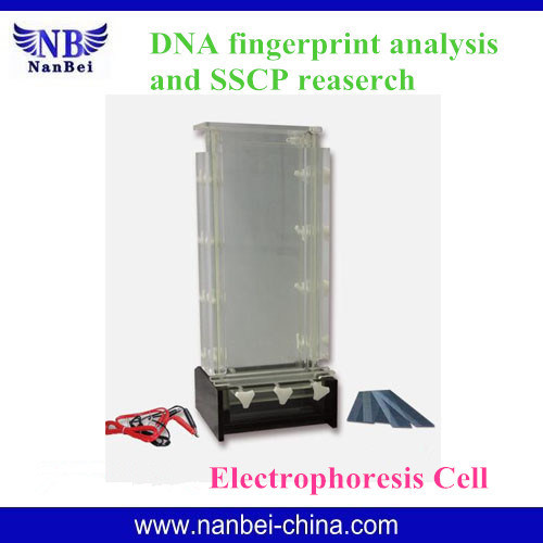 2016 Best Seller DNA Sequencing Electrophoresis Equipment for Check Birds Sex