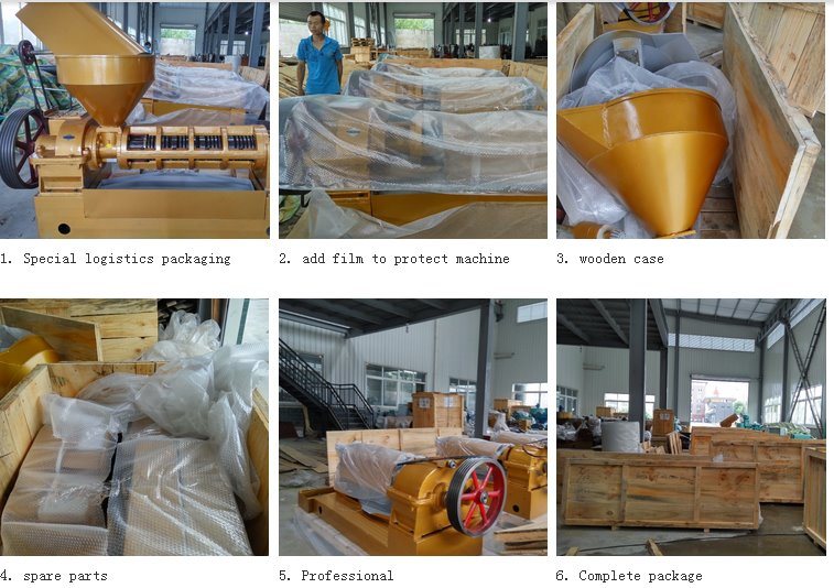 Rapeseed Oil Pressing Equipment Made in China