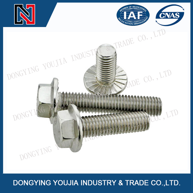 Stainless Steel Hex Bolt/ T Head Bolt/ U Bolt/ Mushroom Round Head Carriage Bolt/ Hexagon Flange Bolt/ Allen Bolt/ Lifting Eye Bolt