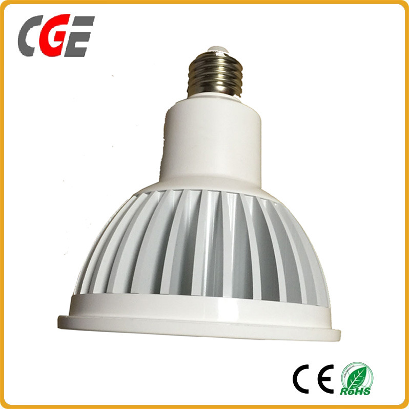10W/15W/20W/30W/35W 1600lm COB Reflector Design PAR38 LED Lamp