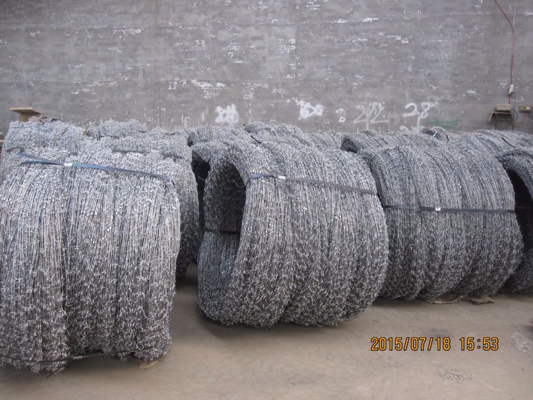 ISO Certificated PVC Coated /Galvanized Razor Barbed Wire for Fencing