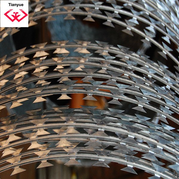 Durable Galvanized Razor Wire (TYH-008)