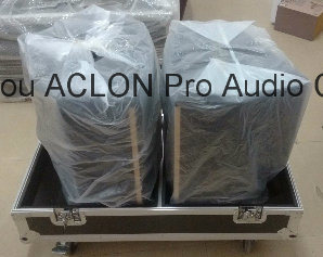 Line Array Speaker Flight Case (FC12)