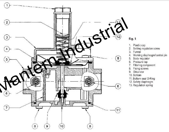 Good Quality Natural Gas Filter Pressure Regulator (MTGFR01)