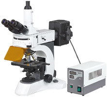 Ht-0200 N-800f Laboratory Biological Fluorescent Microscope