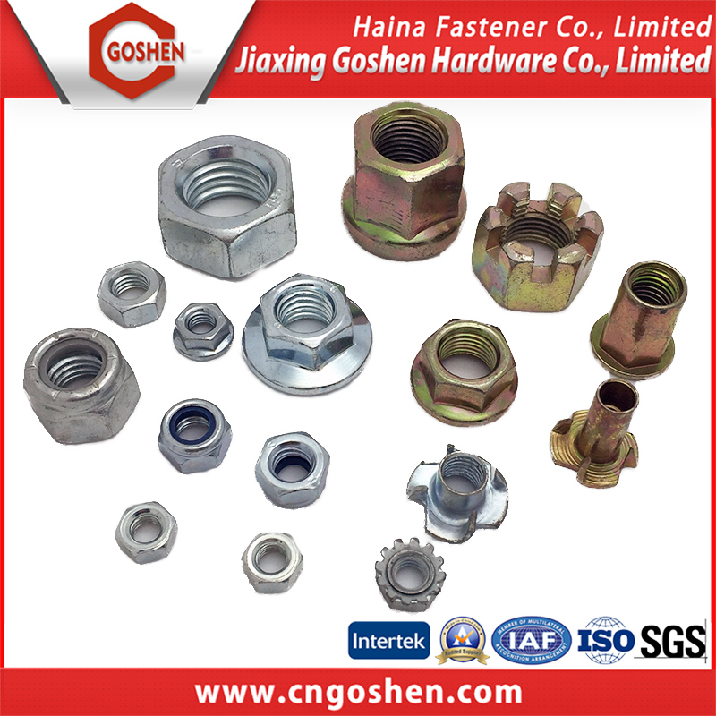 Flange Nut / Cap Nut /Nylon Nut/T Nut/Cage Nut/Wing Nut/ with High Quality