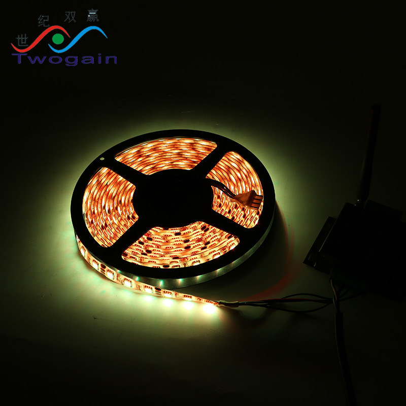 4.8W/M 8mm 60PCS/M RGB Waterproof IP67 Silicon Outdoor Flexible LED Strip Light