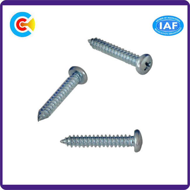 Stainless Steel/4.8/8.8/10.9 Galvanized Self-Tapping Screw for Bridge