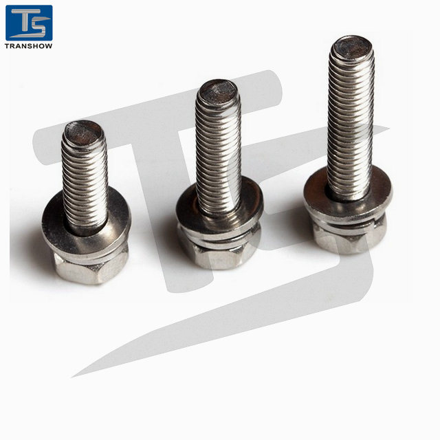 M2~M6 Ss Pan Head Machine Screws with Washers