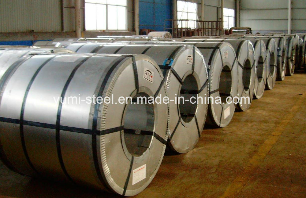 Prepainted Galvanized Hot Dipped Aluminum Coated Steel