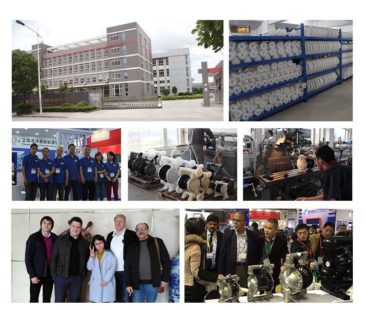 China Chemical Diaphragm Liquid Metering Pump