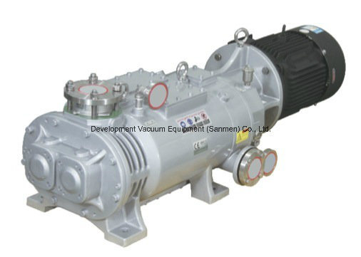 Environmental Protection Dry Screw Vacuum Pump (LGB-30DV)