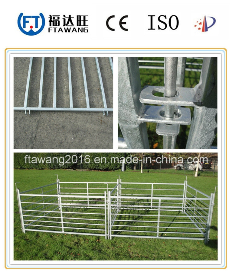 Welded Wire Mesh Fence/Farm Fence for Cattle Deer Horse Sheep