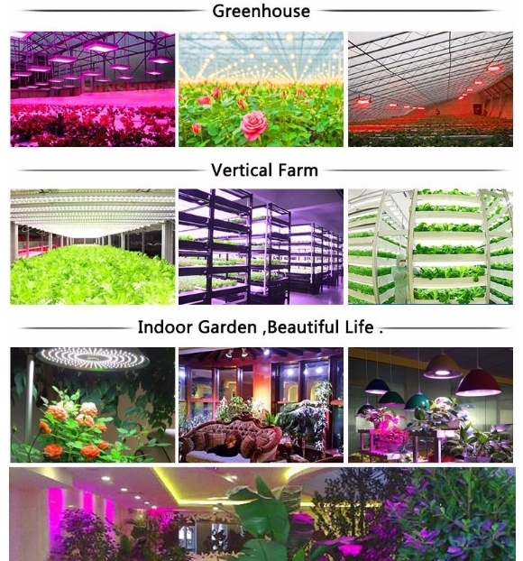 Factory Wholesale E26 PAR38 20W Full Spectrum LED Grow Light for LED Plant Growing